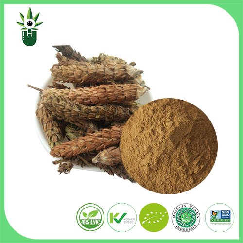 Key Aspects of Prunella Vulgaris Extract