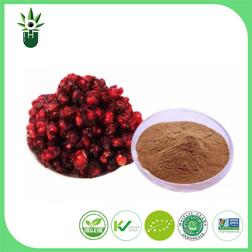 Key Aspects of Schisandra Chinensis Extract