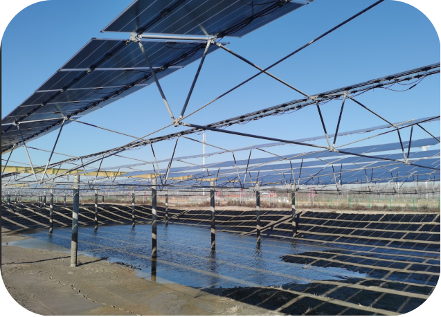 Chinese Manufacturer Unveils Custom Flexible Solar Mounting System for Innovative Energy Solutions