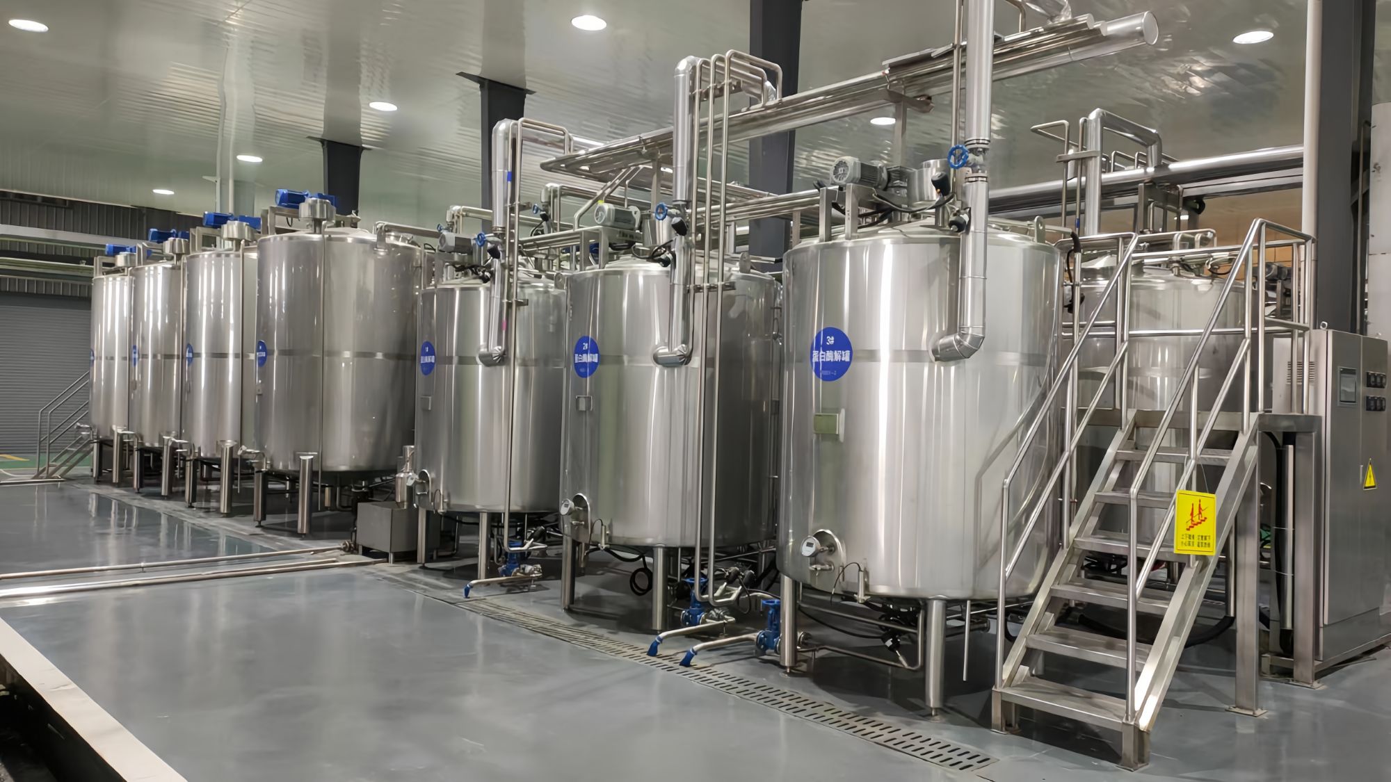 Custom Milk Production Line Solutions for Streamlined Dairy Processing