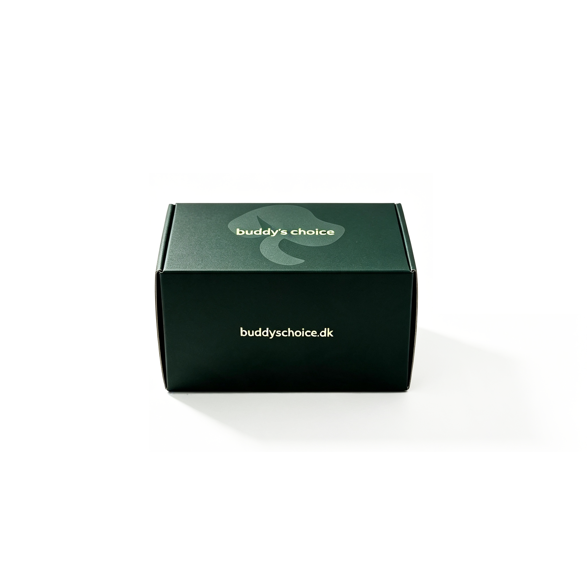 User-Friendly Color Box: The Easiest Way to Explore and Apply Perfect Palettes