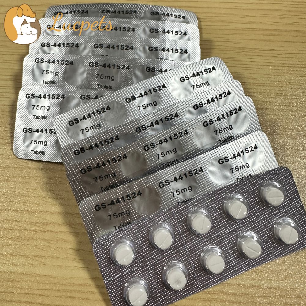 Bulk GS-441524 Tablets: Your Complete Guide to Sourcing and Quality